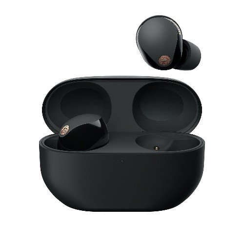 Sony WF-1000XM5 Earbuds
