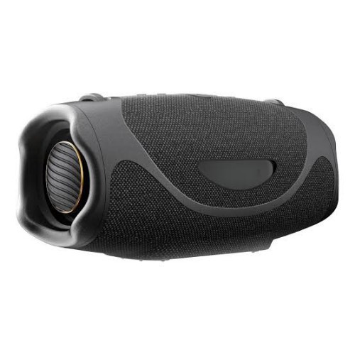 Hisense Flexboom Portable Speaker